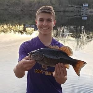 Meet your Posher, Riley